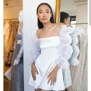 Lurelly Cloud Silk Dress size 10